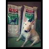 Royal Canin