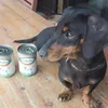 Camillo e Lukullus Menù Estivo