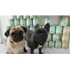 Pumba und Spike