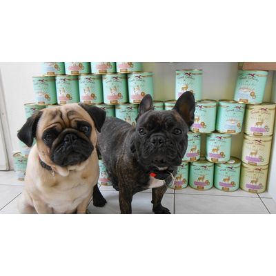 Pumba und Spike