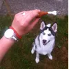 Apéro pour Jack