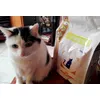 Royal Canin