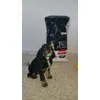 Es su segundo saco le encanta para mi el mejor