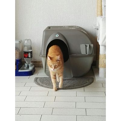 Kattentoillet goedgekeurd