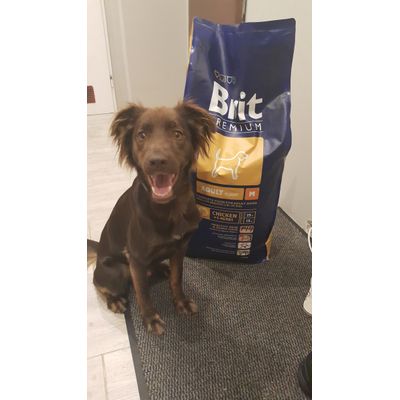 Axel i jego ulubiona karma