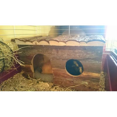 Domek dla gryzoni