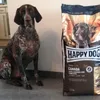 Happy Dog Canada