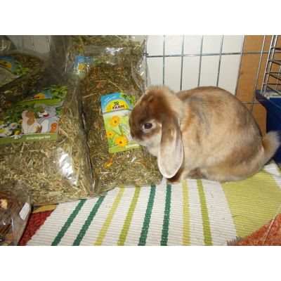Lumpinka a bylinky JR Farm