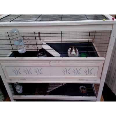 a casa 2