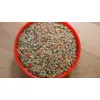 Prestige Premium Wellensittiche