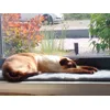 Lazy Pix in the sunlight