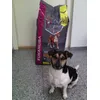 Max Friend