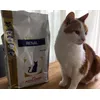 Royal Canin Renal