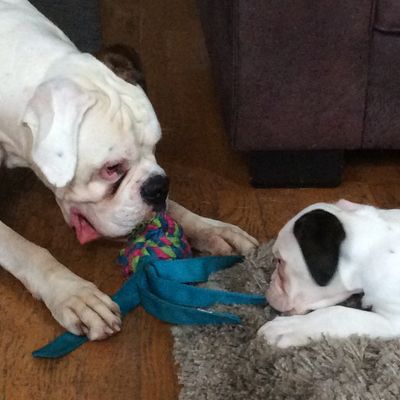Oscar en Silke