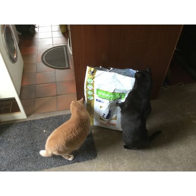 Mmmmmm en levensreddend voor onze Felipe