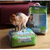 Geen kat in de zak maar op de zak Cats best