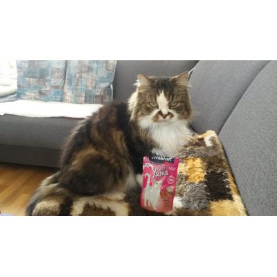 Muffy met heerlijk zakje Cat Yums