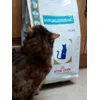 Phara heeft honger