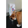 Optimale voeding voor je pup Hills Science Plan