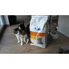 weg met urineproblemen