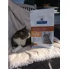 Mijn kat vindt kidney care zeer lekker