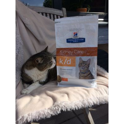 Mijn kat vindt kidney care zeer lekker