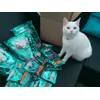 Purina ONE