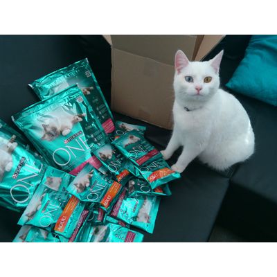 Purina ONE