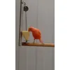 Trixie Vrucht- en Groentenhouder