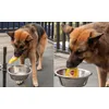 Tres met Pedigree