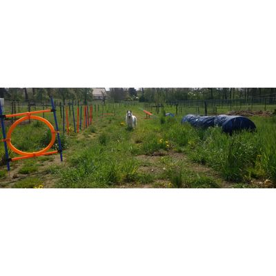 Cato trots op zijn zooplus parcours