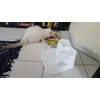 Tokyo approves this cat bowl