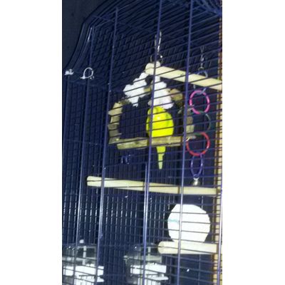 Helemaal blij met zijn schommel van Zooplus