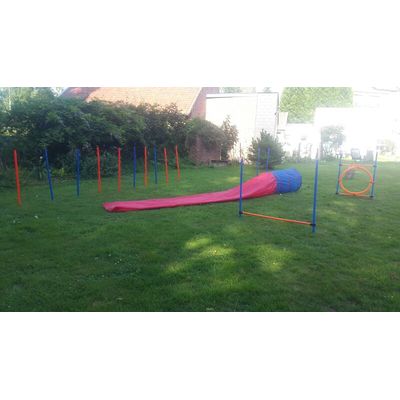 Le parcours agility de Popeye