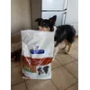 Ons Indy is verzot op deze brokjes