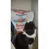 Minmin adore ses croquettes 