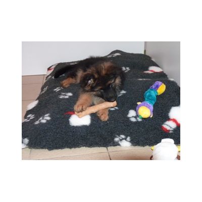 tapis bonhomme de neige