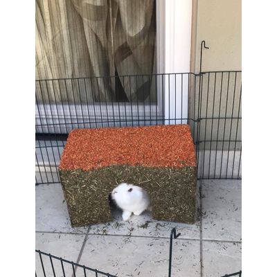 Foxie Home