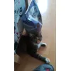 Moje i nikomu nie oddam
