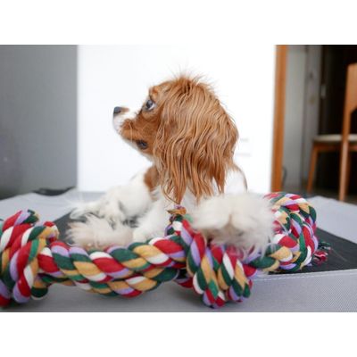 Lilli