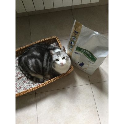 Hoy empiezo dieta