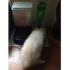 Muito bom