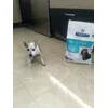 Xiquieta