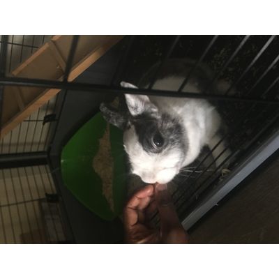 Mia