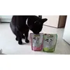 Mon chat adore ces friandises 
