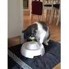 Senna