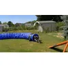 Maya Tunnel Agility