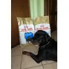 Thor le adora