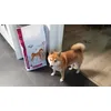 He likes it