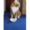 Lip smacking good